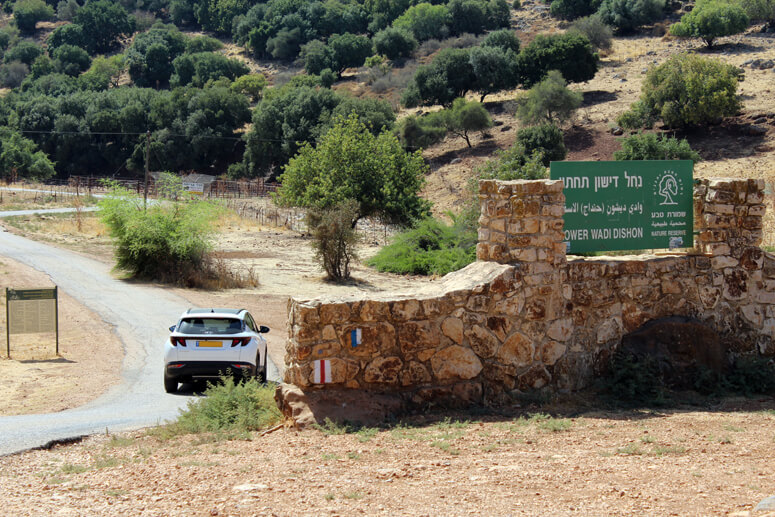 נחל דישון